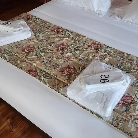 Solar Tilias - Historic House فندق سيا